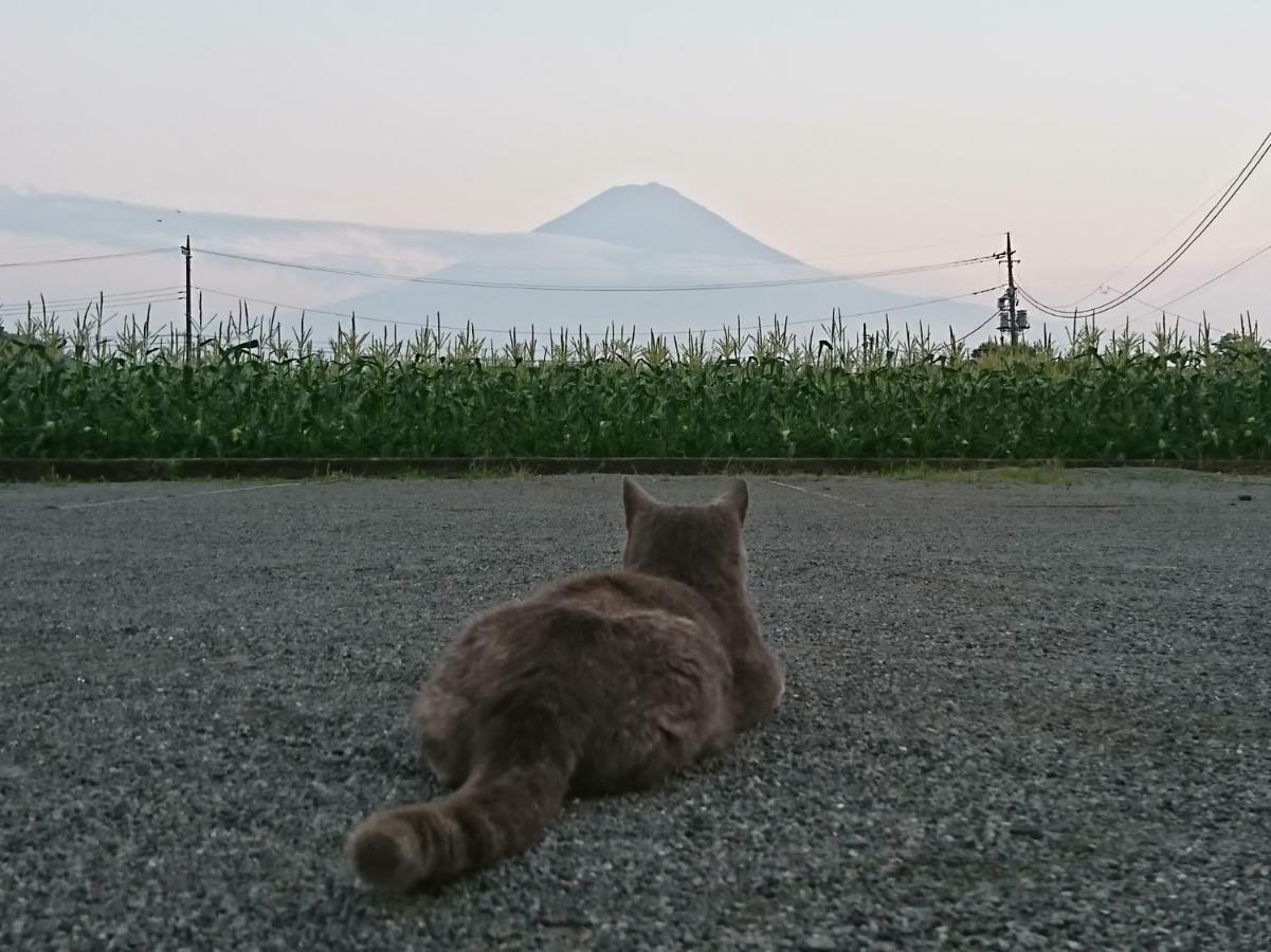 Lake Villa Kawaguchiko Fudžikawagučiko Exteriér fotografie