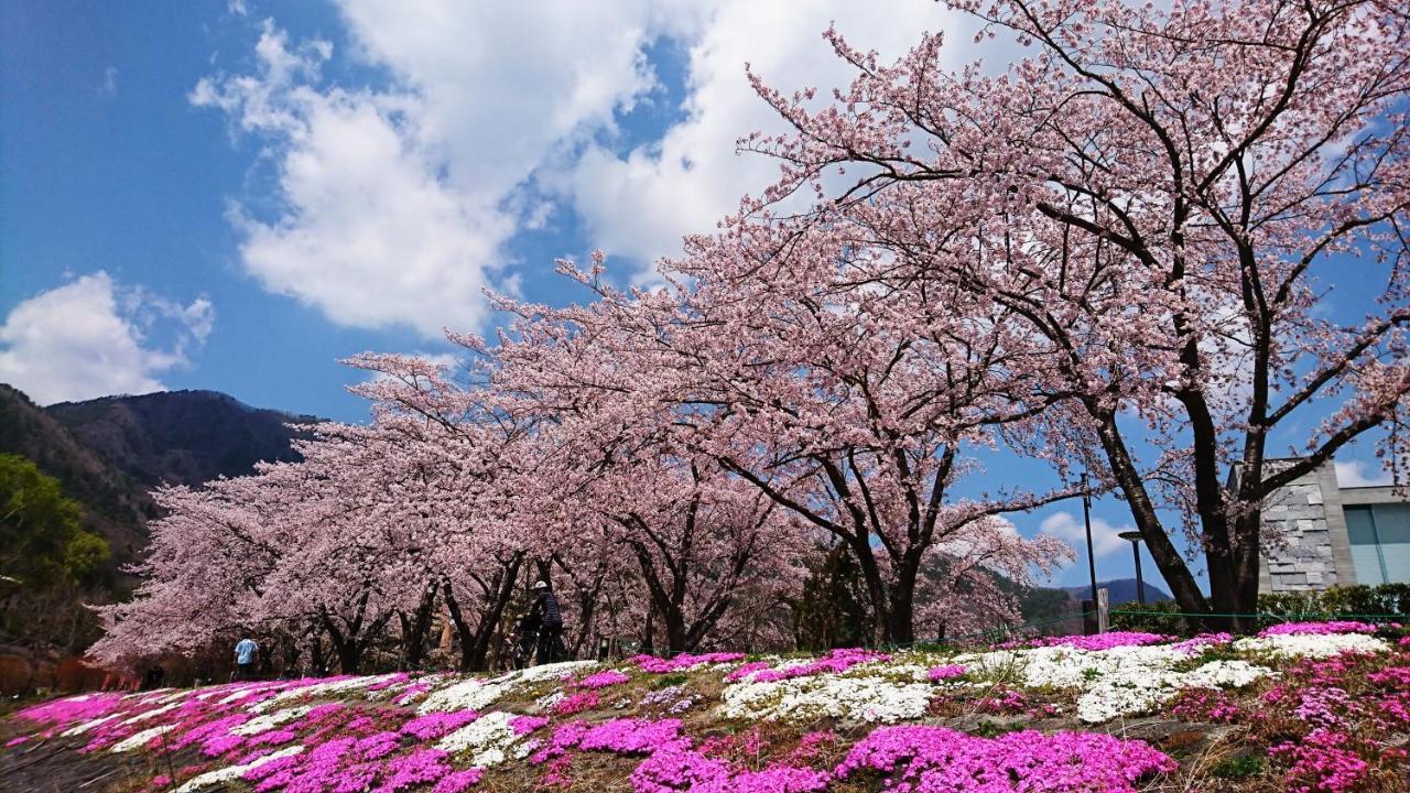 Lake Villa Kawaguchiko Fudžikawagučiko Exteriér fotografie